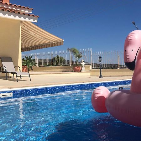 Peyia Palm Villa Paphos Ngoại thất bức ảnh